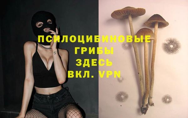 СК Гвардейск