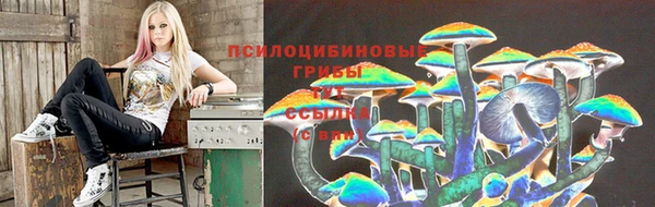 ALPHA-PVP Корсаков