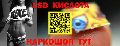 стаф Гай