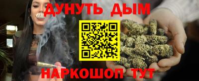 стаф Гай