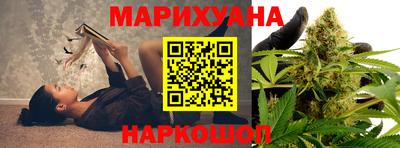 гашик Гатчина