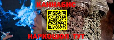 стаф Гай