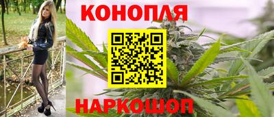 стаф Гай