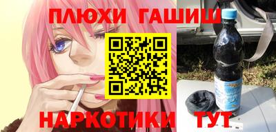 стаф Гай